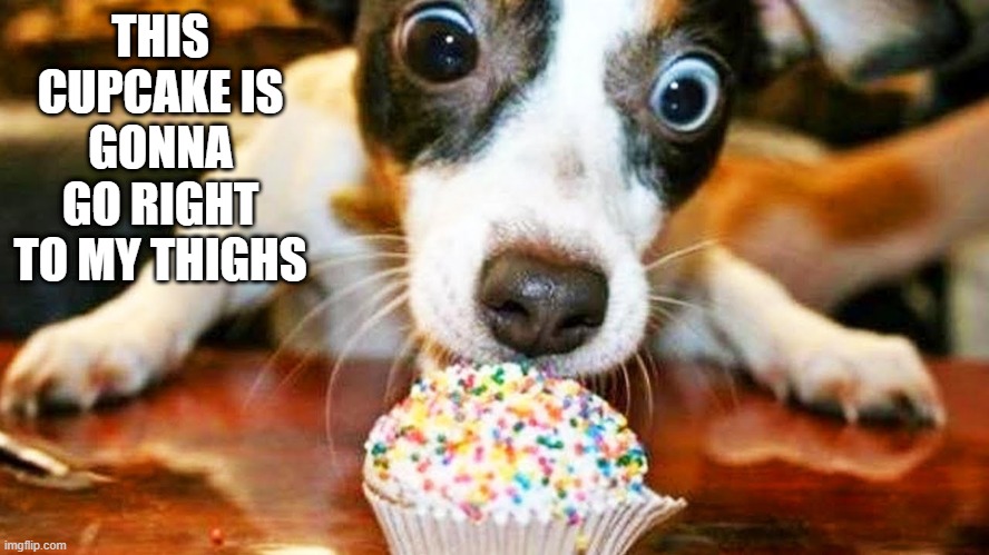 Cupcake | THIS CUPCAKE IS GONNA GO RIGHT TO MY THIGHS | image tagged in dogs | made w/ Imgflip meme maker