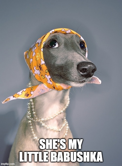 Babushka | SHE'S MY LITTLE BABUSHKA | image tagged in dogs | made w/ Imgflip meme maker