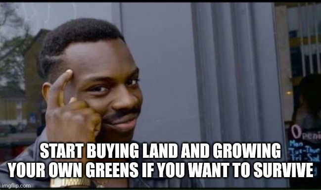 Thinking Black Man | START BUYING LAND AND GROWING YOUR OWN GREENS IF YOU WANT TO SURVIVE | image tagged in thinking black man | made w/ Imgflip meme maker