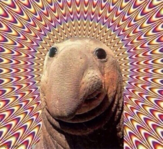 Drugs  | image tagged in drugs | made w/ Imgflip meme maker