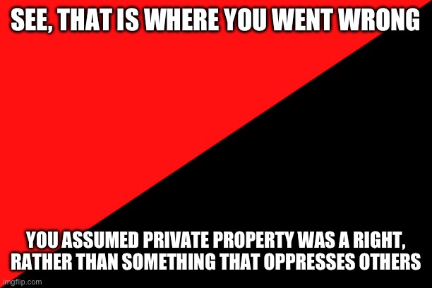 Also private property is not personal property | SEE, THAT IS WHERE YOU WENT WRONG; YOU ASSUMED PRIVATE PROPERTY WAS A RIGHT, RATHER THAN SOMETHING THAT OPPRESSES OTHERS | image tagged in ancom flag,socialism,communism | made w/ Imgflip meme maker