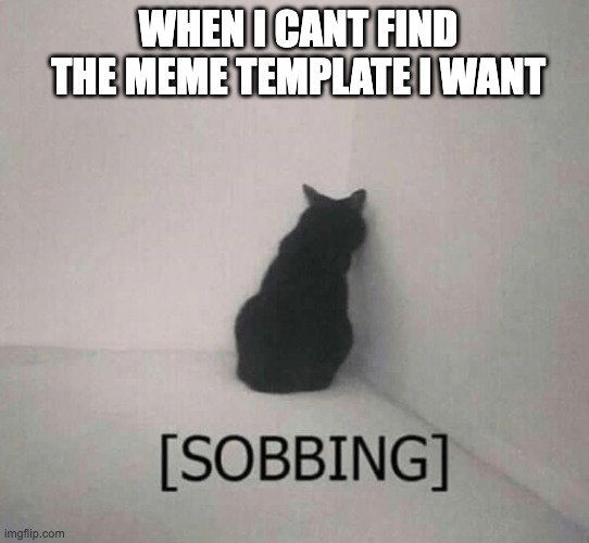 where it be? | WHEN I CANT FIND THE MEME TEMPLATE I WANT | image tagged in sobbing cat,funny,memes,relatable,meme making,meme | made w/ Imgflip meme maker