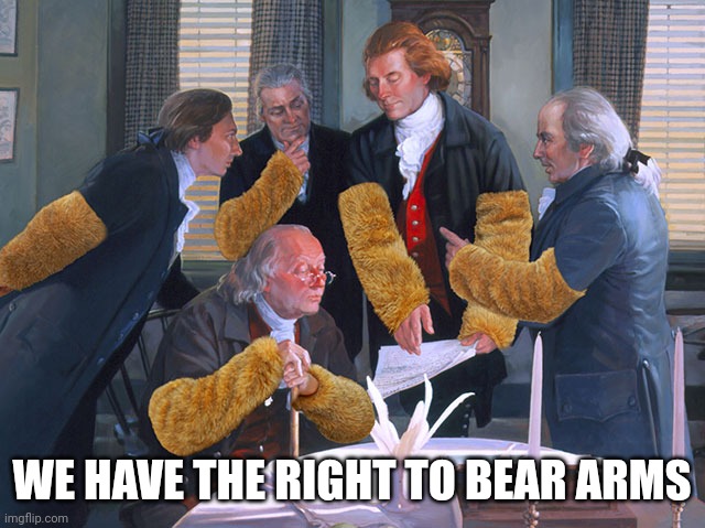 right to bear arms | WE HAVE THE RIGHT TO BEAR ARMS | image tagged in right to bear arms | made w/ Imgflip meme maker