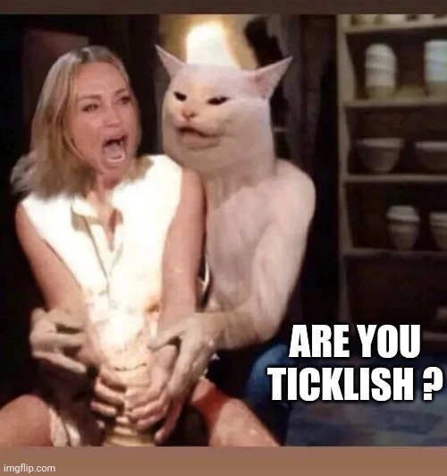 ARE YOU TICKLISH ? | made w/ Imgflip meme maker