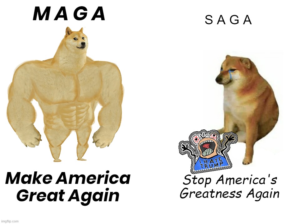 SAGA BADGE for HATRED | M A G A; S A G A; Make America Great Again; Stop America's Greatness Again | image tagged in saga,maga,doge,great,make,stop | made w/ Imgflip meme maker