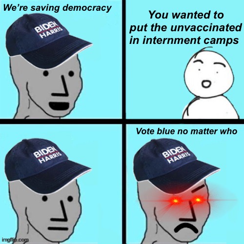 Saving democracy…….. lol | You wanted to put the unvaccinated in internment camps; We’re saving democracy; Vote blue no matter who | image tagged in blue hat npc,politics lol,memes | made w/ Imgflip meme maker