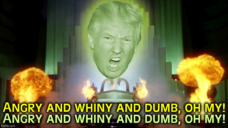 I hate everybody who doesn't  kiss my @$$. | Angry and whiny and dumb, oh my! Angry and whiny and dumb, oh my! | image tagged in the great and powerful wizard of oz,wizard of oz,trump,angry,whining,stupid | made w/ Imgflip meme maker