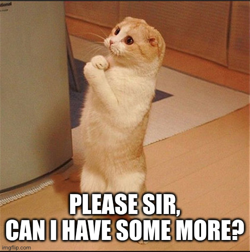 Can I Has Food | PLEASE SIR, CAN I HAVE SOME MORE? | image tagged in can i has food | made w/ Imgflip meme maker