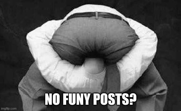 e | NO FUNY POSTS? | image tagged in head up ass | made w/ Imgflip meme maker