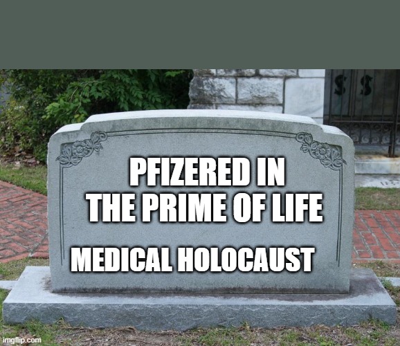 Gravestone | PFIZERED IN THE PRIME OF LIFE; MEDICAL HOLOCAUST | image tagged in gravestone | made w/ Imgflip meme maker