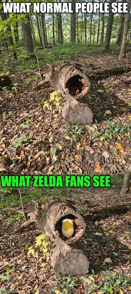 I'M SURE THERE'S A KOROK IN THERE | WHAT NORMAL PEOPLE SEE; WHAT ZELDA FANS SEE | image tagged in legend of zelda,the legend of zelda,the legend of zelda breath of the wild,tears of the kingdom | made w/ Imgflip meme maker