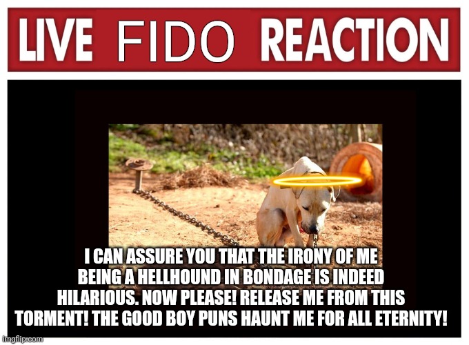 Live reaction | FIDO; I CAN ASSURE YOU THAT THE IRONY OF ME BEING A HELLHOUND IN BONDAGE IS INDEED HILARIOUS. NOW PLEASE! RELEASE ME FROM THIS TORMENT! THE GOOD BOY PUNS HAUNT ME FOR ALL ETERNITY! | image tagged in live reaction | made w/ Imgflip meme maker