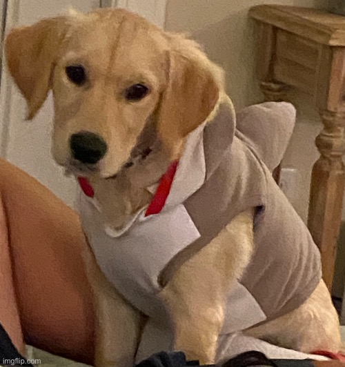 sharky dog :D | made w/ Imgflip meme maker
