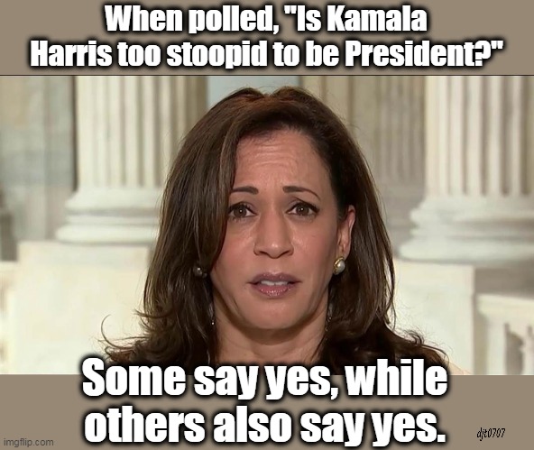 Who is worse- Harris, or those who support her? | When polled, "Is Kamala Harris too stoopid to be President?"; Some say yes, while others also say yes. | image tagged in kamala harris,democrats,corrupt,stupid,communists | made w/ Imgflip meme maker