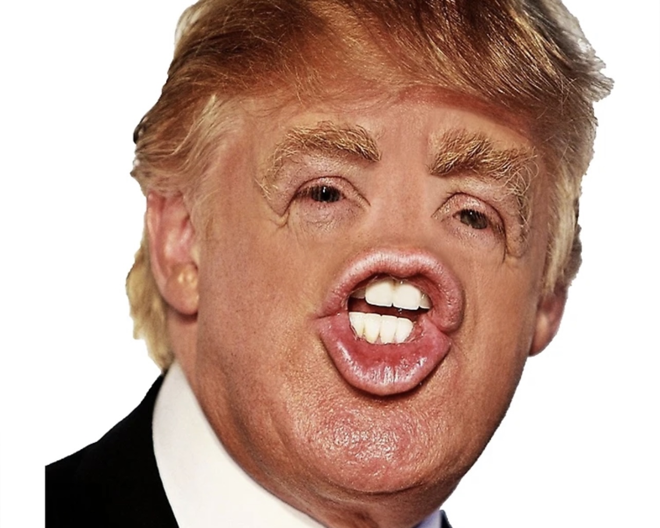 Trump meme Blank Meme Template