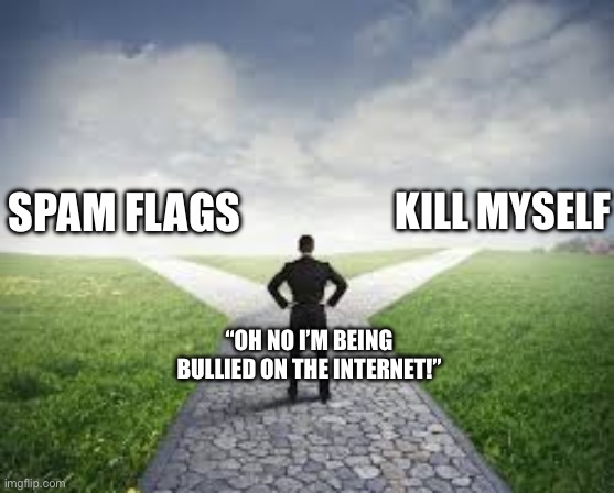 Different roads | KILL MYSELF; SPAM FLAGS; “OH NO I’M BEING BULLIED ON THE INTERNET!” | image tagged in different roads | made w/ Imgflip meme maker