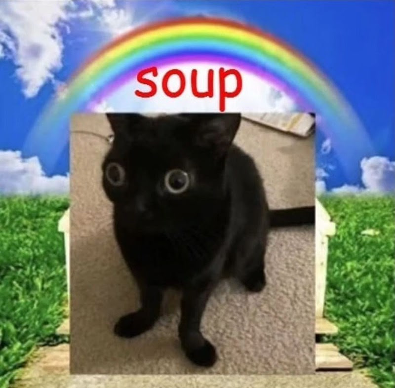 soup Blank Meme Template