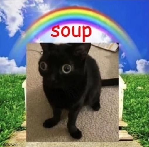 soup | image tagged in soup | made w/ Imgflip meme maker