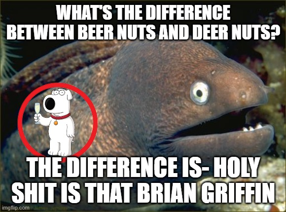 Bad Joke Eel Meme | WHAT'S THE DIFFERENCE BETWEEN BEER NUTS AND DEER NUTS? THE DIFFERENCE IS- HOLY SHIT IS THAT BRIAN GRIFFIN | image tagged in memes,bad joke eel | made w/ Imgflip meme maker