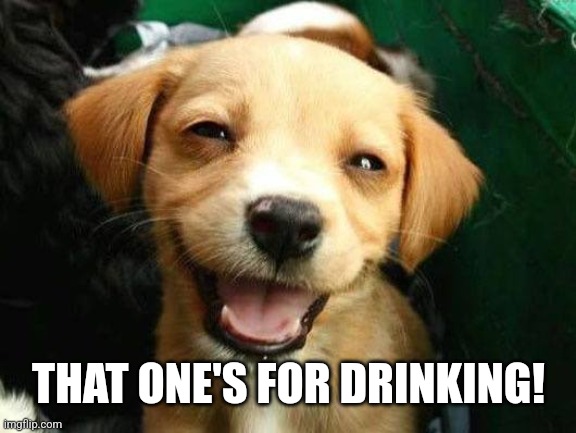 Dog Smiling | THAT ONE'S FOR DRINKING! | image tagged in dog smiling | made w/ Imgflip meme maker