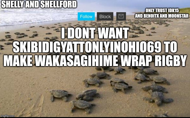 Noooooooooooooooo | I DONT WANT SKIBIDIGYATTONLYINOHIO69 TO MAKE WAKASAGIHIME WRAP RIGBY | image tagged in i like turtles | made w/ Imgflip meme maker