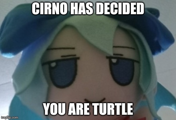 If skibidigyattonlyinohio69 sees this | CIRNO HAS DECIDED; YOU ARE TURTLE | image tagged in cirno fumo stare | made w/ Imgflip meme maker