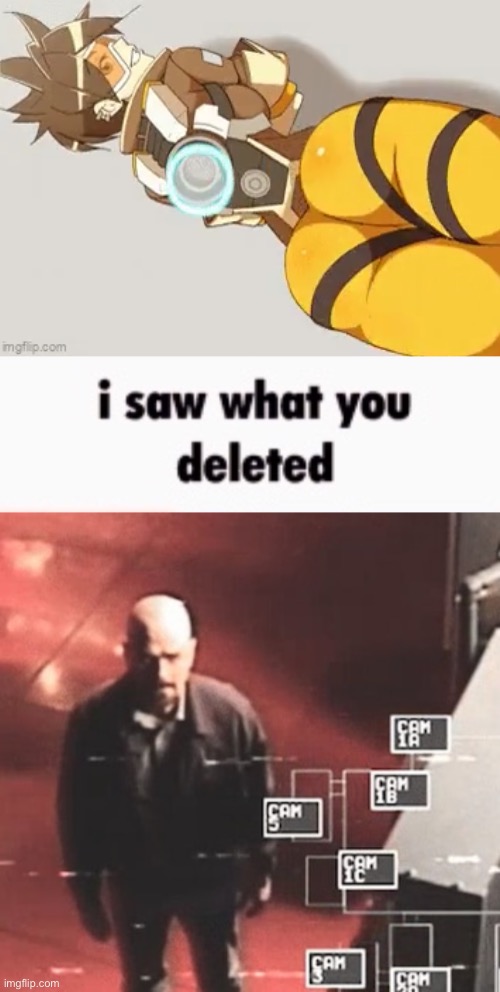 image tagged in i saw what you deleted | made w/ Imgflip meme maker