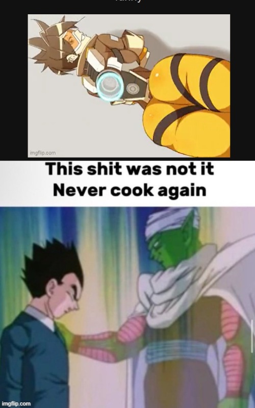 image tagged in this shit was not it never cook again | made w/ Imgflip meme maker