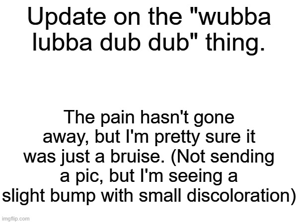 Update on the "wubba lubba dub dub" thing. I'll explain further in the comments. | Update on the "wubba lubba dub dub" thing. The pain hasn't gone away, but I'm pretty sure it was just a bruise. (Not sending a pic, but I'm seeing a slight bump with small discoloration) | made w/ Imgflip meme maker