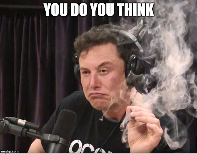 Elon Musk smoking a joint | YOU DO YOU THINK | image tagged in elon musk smoking a joint | made w/ Imgflip meme maker