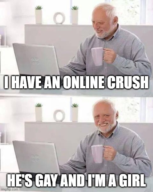 :( sadly true | I HAVE AN ONLINE CRUSH; HE'S GAY AND I'M A GIRL | image tagged in memes,hide the pain harold | made w/ Imgflip meme maker