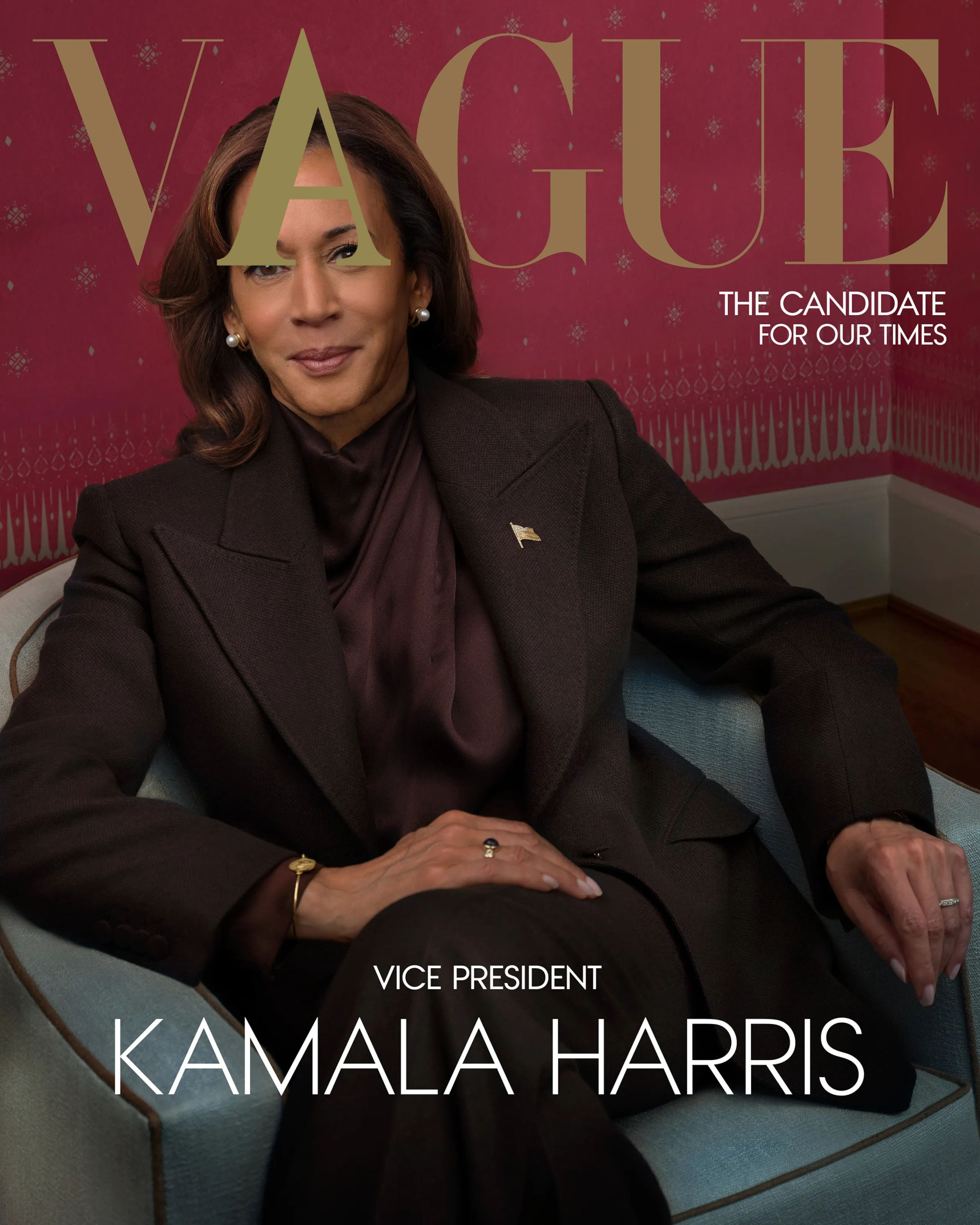 Kamala Vague Blank Meme Template