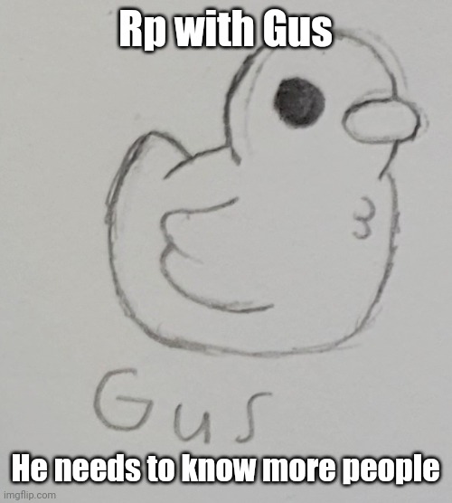 [CANON RP] | Rp with Gus; He needs to know more people | image tagged in gus the duck | made w/ Imgflip meme maker