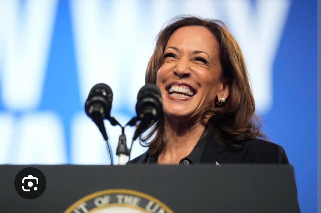 DEI Kamala Blank Meme Template