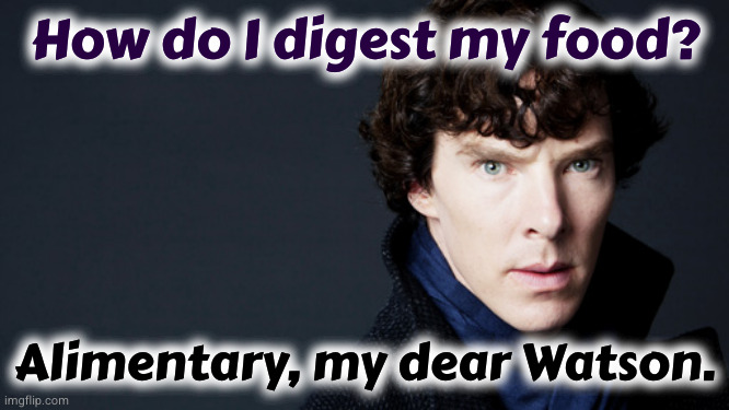 chew this over | How do I digest my food? Alimentary, my dear Watson. | image tagged in sherlock | made w/ Imgflip meme maker