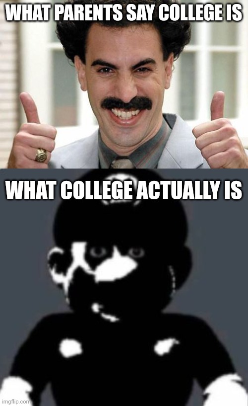 Mario | WHAT PARENTS SAY COLLEGE IS; WHAT COLLEGE ACTUALLY IS | image tagged in great success | made w/ Imgflip meme maker