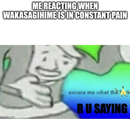 Excuse me wtf blank template | ME REACTING WHEN WAKASAGIHIME IS IN CONSTANT PAIN R U SAYING | image tagged in excuse me wtf blank template | made w/ Imgflip meme maker