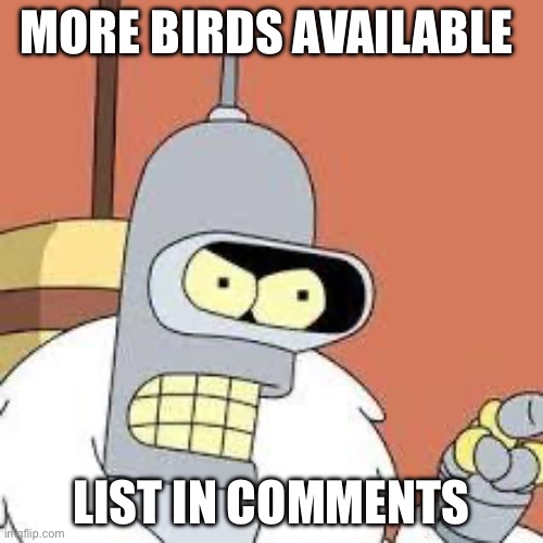 wave 3 | MORE BIRDS AVAILABLE; LIST IN COMMENTS | image tagged in bender blackjack and hookers | made w/ Imgflip meme maker