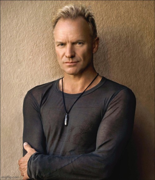 Sting | image tagged in sting | made w/ Imgflip meme maker