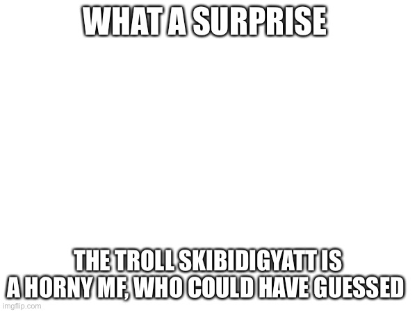 WHAT A SURPRISE; THE TROLL SKIBIDIGYATT IS A HORNY MF, WHO COULD HAVE GUESSED | made w/ Imgflip meme maker