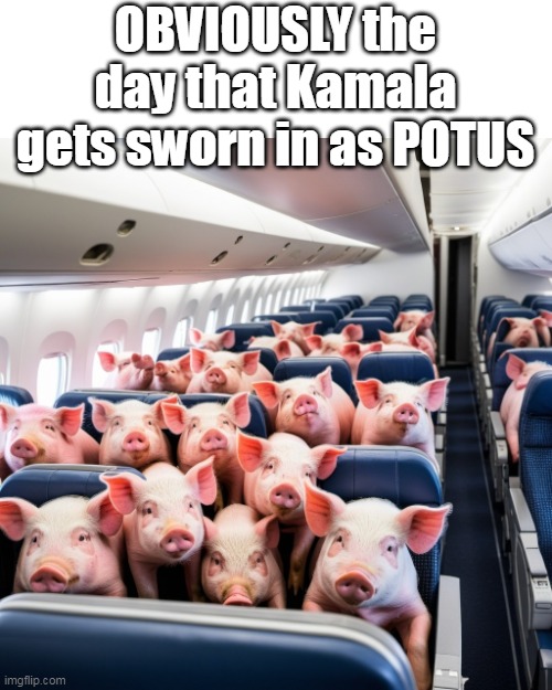 Knew I'd need this pic one day | OBVIOUSLY the day that Kamala gets sworn in as POTUS | image tagged in never kamala pigs fly meme | made w/ Imgflip meme maker