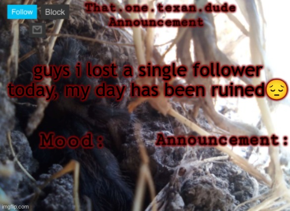 THE that.one.texan.dude announcement template | guys i lost a single follower today, my day has been ruined😔 | image tagged in the that one texan dude announcement template | made w/ Imgflip meme maker