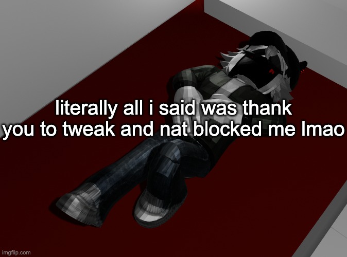 its like when i would say "ok i heard you" whenever i was told to go to sleep and i would get in trouble like the fuck | literally all i said was thank you to tweak and nat blocked me lmao | image tagged in ponder | made w/ Imgflip meme maker