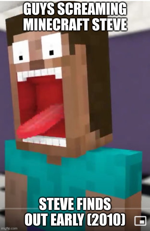 steve | GUYS SCREAMING MINECRAFT STEVE; STEVE FINDS OUT EARLY (2010) | image tagged in minecraft | made w/ Imgflip meme maker