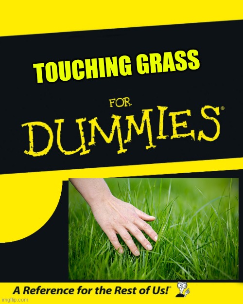 for dummies | TOUCHING GRASS | image tagged in for dummies | made w/ Imgflip meme maker