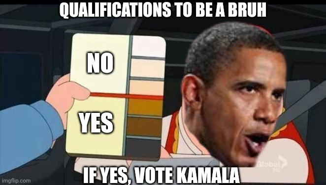 Cause Obama said so | QUALIFICATIONS TO BE A BRUH; NO; YES; IF YES, VOTE KAMALA | image tagged in peter griffin skin color chart race terrorist blank,leftists,liberals,democrats | made w/ Imgflip meme maker