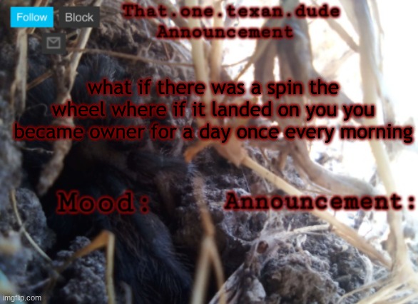 but in order to be on the wheel 75 percent of users online agree to you being on there | what if there was a spin the wheel where if it landed on you you became owner for a day once every morning | image tagged in the that one texan dude announcement template | made w/ Imgflip meme maker