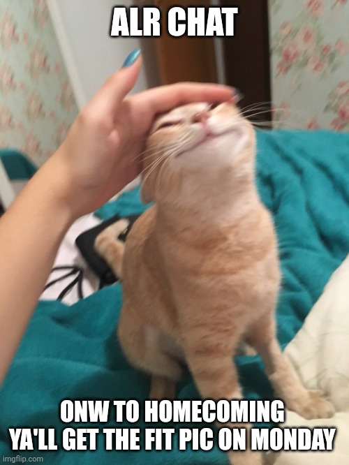 :3 | ALR CHAT; ONW TO HOMECOMING 
YA'LL GET THE FIT PIC ON MONDAY | image tagged in cat pat | made w/ Imgflip meme maker