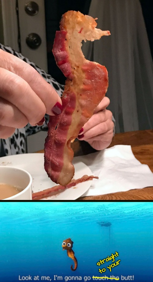 Seahorse Bacon | straight to your | image tagged in funny memes,bacon | made w/ Imgflip meme maker