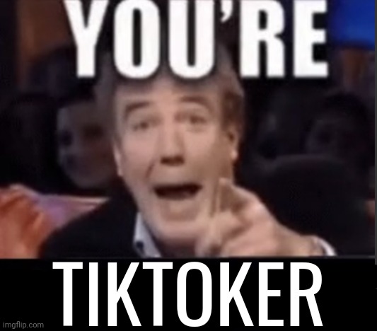 You're X (Blank) | TIKTOKER | image tagged in you're x blank | made w/ Imgflip meme maker